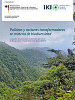 Cover IKI Bioframe Case Study Costa Rica